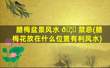 腊梅盆景风水 🦄 禁忌(腊梅花放在什么位置有利风水)